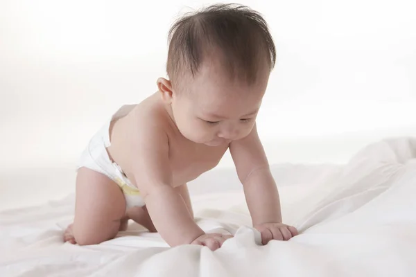 Cute Asian Baby Girl White Background — Stock Photo, Image