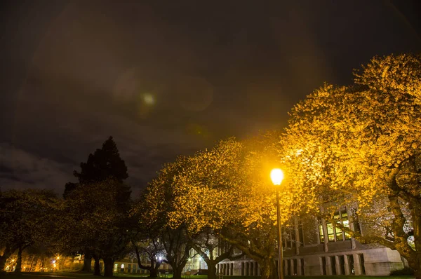 University Of Washington in Seattle, USA