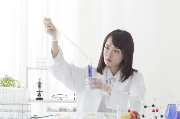 Young Female Doctor Holding Test Tube Doing Experiment — Stock Photo, Image