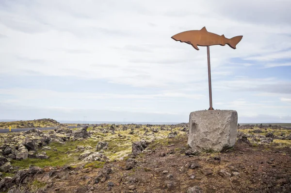 Information Sign Shape Fish — Stock Fotó