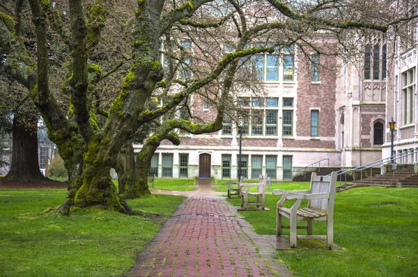 ağaçlar ile güzel doğa arka plan