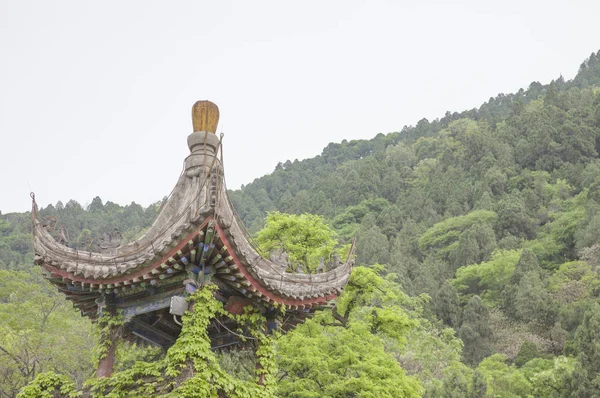 Asien Kina Shaanxi Provins Huaqing Pool Museum Lintong — Stockfoto