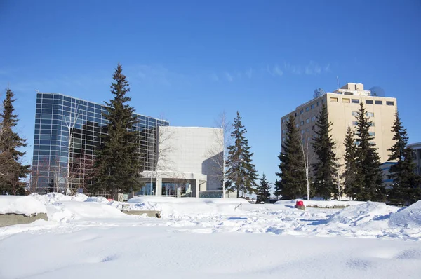 Belo Inverno Com Neve Fundo — Fotografia de Stock