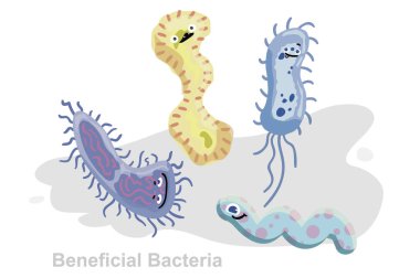 Bakteri, Bacillus, Spirillum, Vibrion, karikatür illüstrasyon