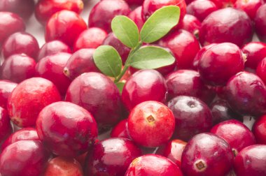 arka planda organik çilek, yakın çekim