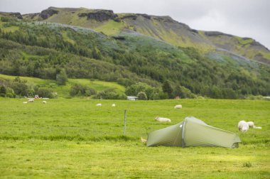 Çadır, Skogar kamp zemin, İzlanda, Europe,