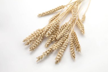 Tahıllar, Buğday, arka planda, yakın