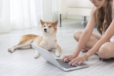 Mavi elbiseli genç Asyalı kadın yerde köpeğinin yanında dizüstü bilgisayarıyla oturuyor.,