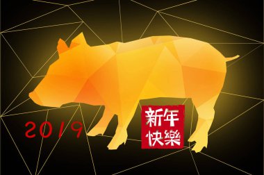 Yıl domuz, yeni yıl, Çin yeni yılı