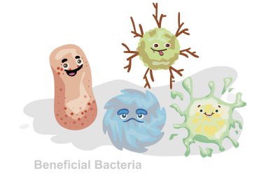 Bacterium, Bacillus, Coccus, cartoon illustration