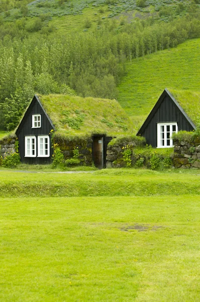 Museo Skogar Islandia Europa —  Fotos de Stock