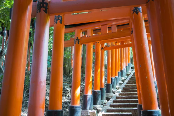 Fushimi Inari Shrine Torii Gate Kyoto Prefecture Japan Asia — Stock Photo, Image