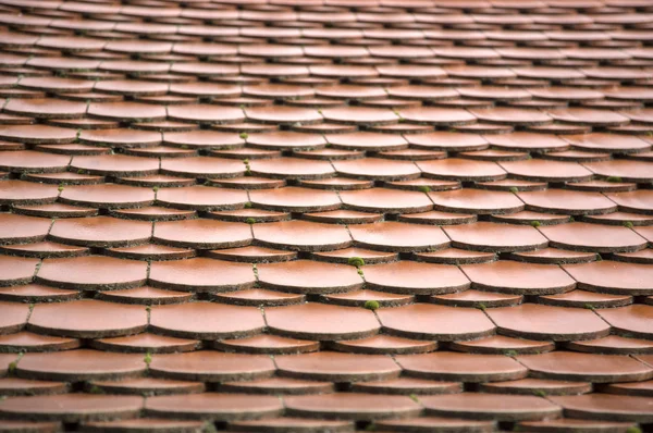 Dach Des Alten Hauses — Stockfoto