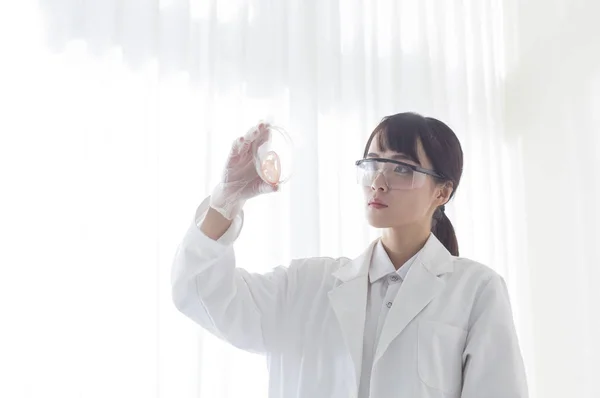 Young Female Doctor Holding Test Tube Doing Experiment — 图库照片