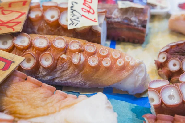 Pulpo Tentáculo Fondo Cerca — Foto de Stock