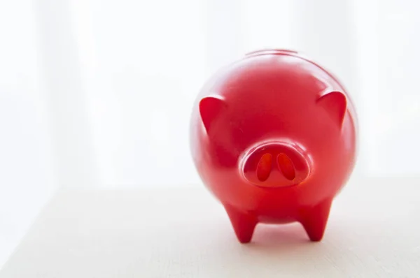 Red Piggy Bank or Coin Bank