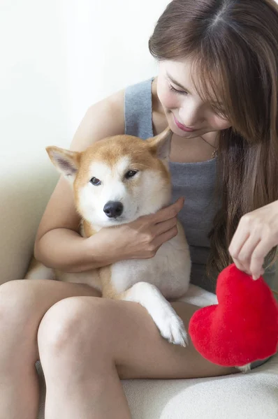 Young Asian Woman Blue Dress Sitting Sofa Holding Her Dog — Stock Photo, Image