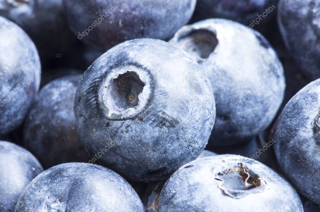 fresh blueberries, healthy food