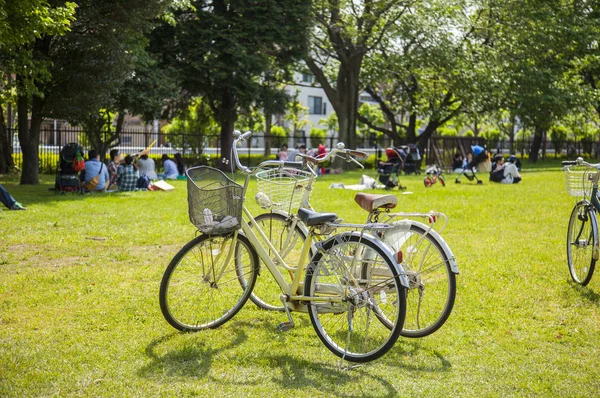 Biciclette Sul Prato Verde Nel Parco Concetto Tempo Libero — Foto Stock