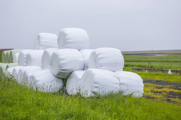 White Stacks Green Lawn Stacking — Zdjęcie stockowe