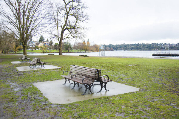 Bench in green park on background