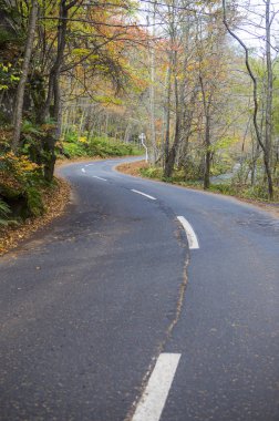 boş Yol ve doğal arka plan