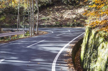 boş Yol ve doğal arka plan