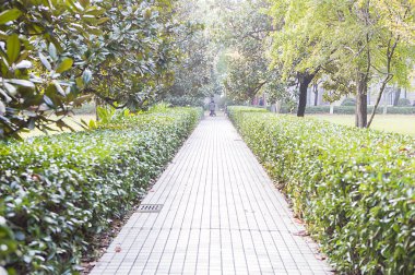 Park mesire yeşil ağaçlar ile