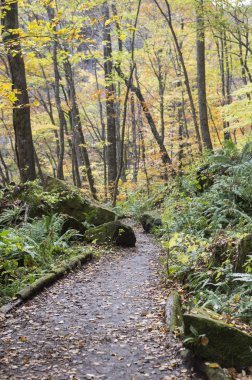 Towada Hachimantai Milli Parkı, sonbahar manzarası