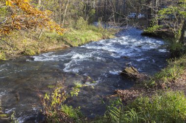Nehir ve ormanlı güzel bir manzara.