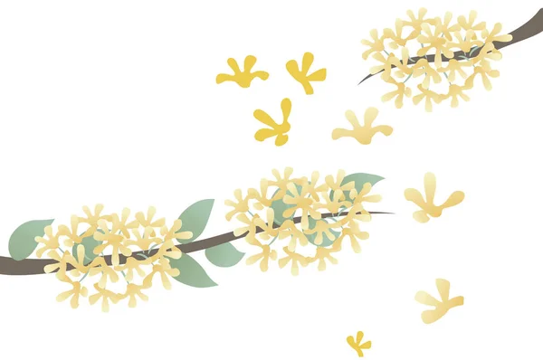 Sweet Osmanthus Flowers Illustration — стоковое фото