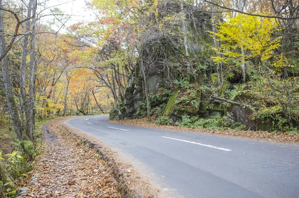 空の道路と自然な背景 — ストック写真