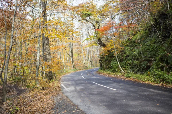 秋の時間の道の眺め — ストック写真