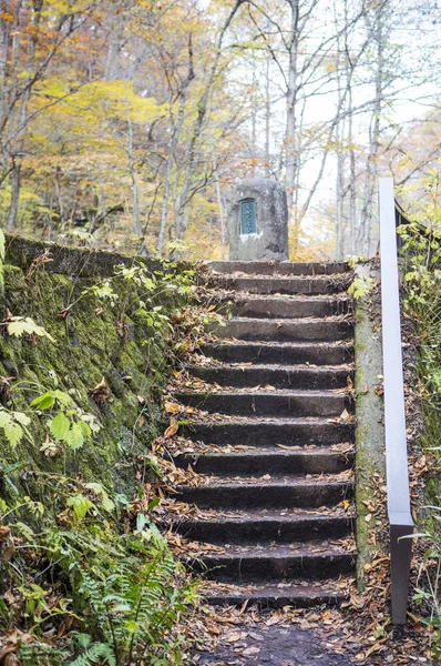old Steps in autumn park