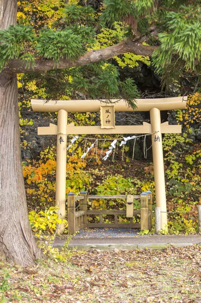 Torii Ворота Фоні Крупним Планом — стокове фото