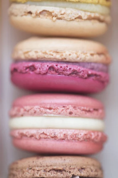 Quatro Macaroons Franceses Coloridos — Fotografia de Stock