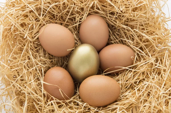 Nest Eggs Background Close — Stock Photo, Image