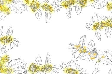 Tatlı Osmanthus çiçek resim çerçevesi
