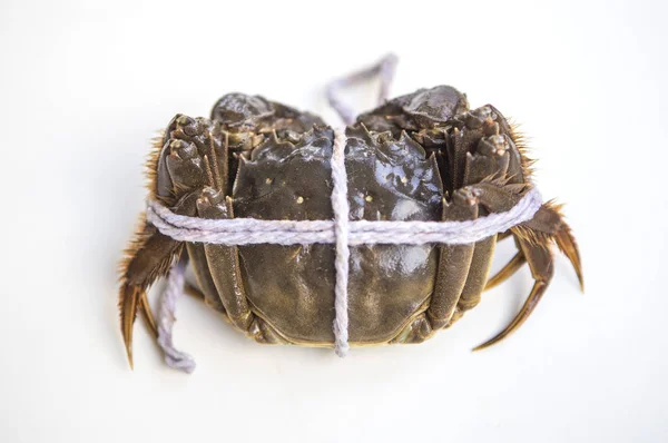 Crabe Fruits Mer Sur Fond Gros Plan — Photo