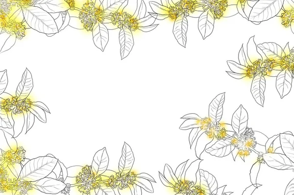 Tatlı Osmanthus çiçek resim çerçevesi