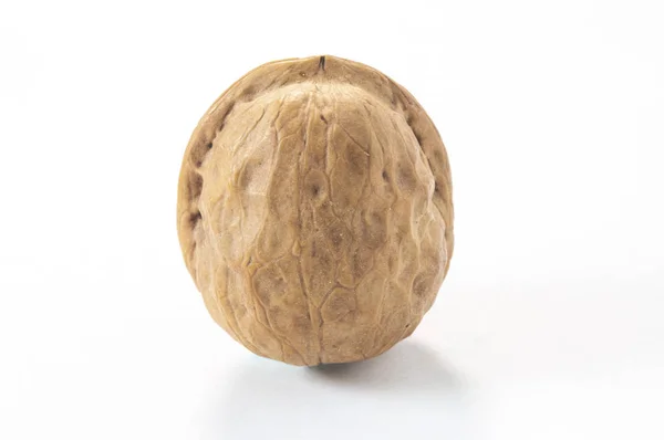 One Nut Background Close — Stock Photo, Image
