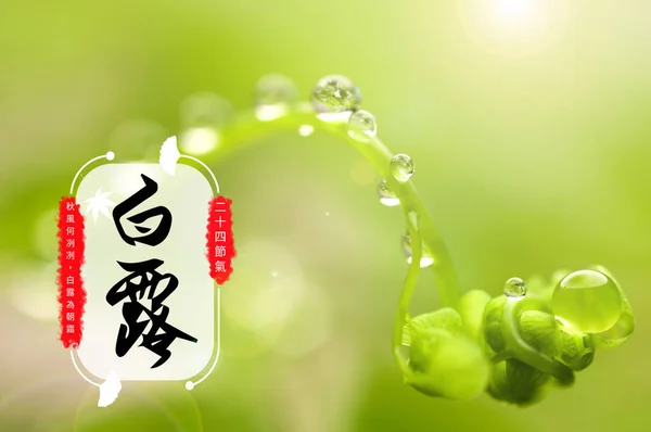 Natural Background Greeting Chinese Card — Fotografia de Stock