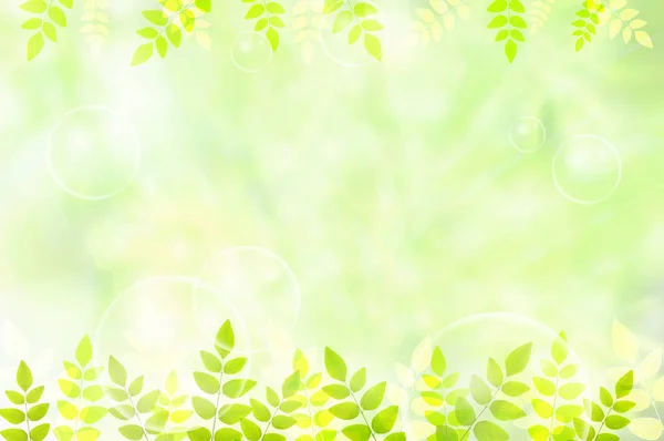 Leaves Frame Copy Space Natural Background — Stock Photo, Image