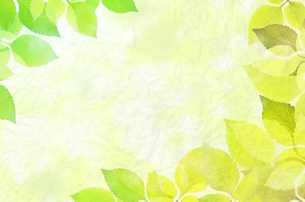 Leaves Frame Copy Space Natural Background — Stock Photo, Image