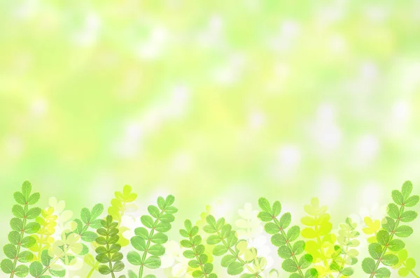 Leaves Frame Copy Space Natural Background — 图库照片