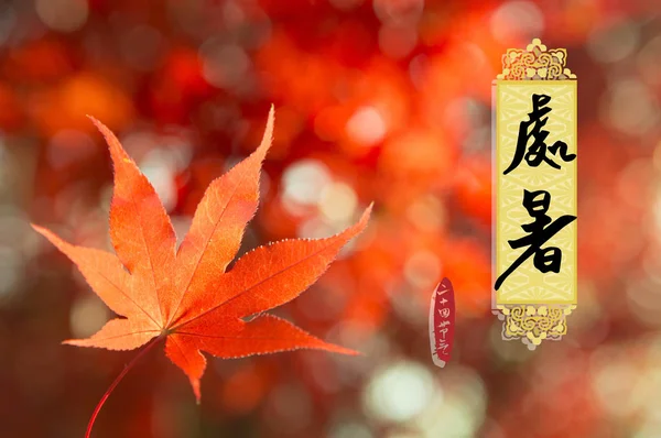 Κοντινό Πλάνο Από Φύλλα Κόκκινου Σφενδάμου Κινεζική Καλλιγραφική Επιγραφή Για — Φωτογραφία Αρχείου