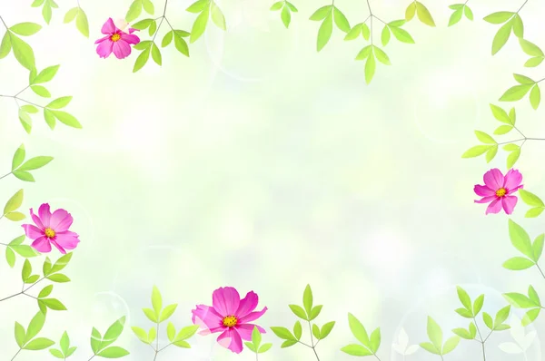 Bloemen Bladeren Frame Met Kopieerruimte Natuurlijke Achtergrond — Stockfoto