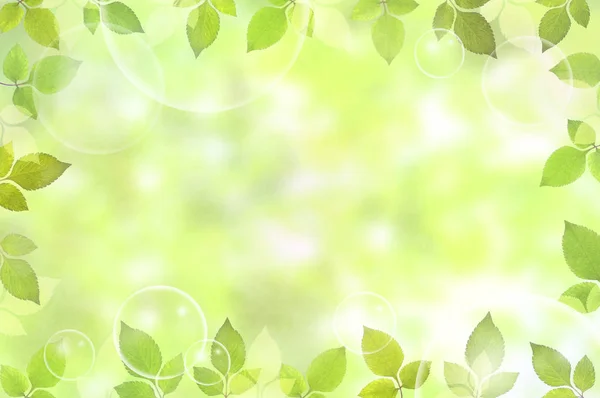 Leaves Frame Copy Space Natural Background — Stock Photo, Image