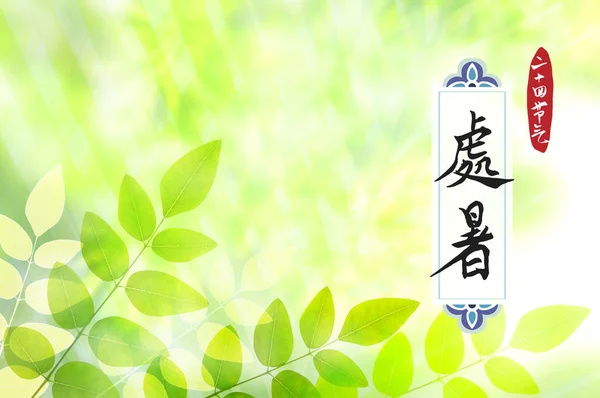 Primo Piano Foglie Verdi Con Iscrizione Calligrafica Cinese Sfondo — Foto Stock