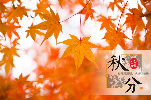 Natural Background Greeting Chinese Card — Stockfoto